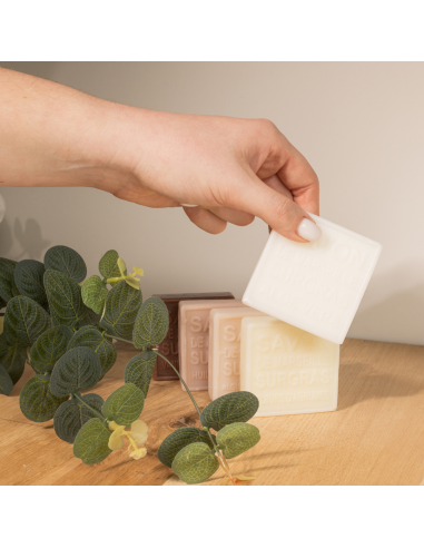 Soap 100g - Brittany Algae