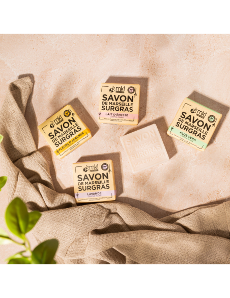 Soap 100g - Brittany Algae